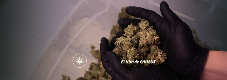 Chubut: El hito de la Ley Salomé