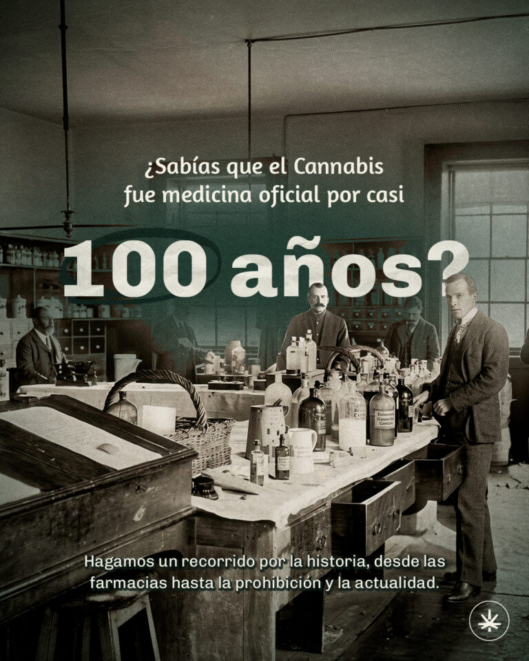 Cannabis Medicinal: Del Auge en 1850 a la Soberanía Sanitaria en Chubut