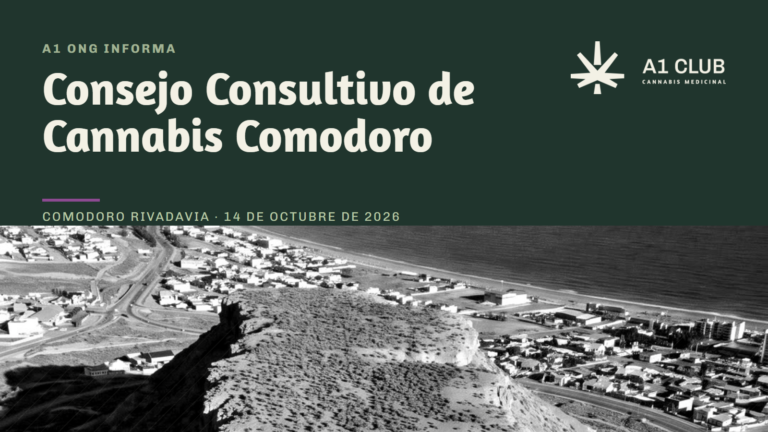Consejo Consultivo de Cannabis Comodoro: qué es